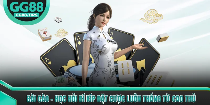 Bài Cào - Bí Quyết Chơi Và Đặt Cược Từ Cao Thủ 2026