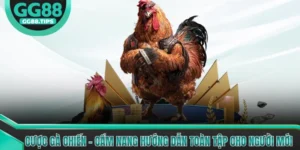 Đá Gà GG88 - Tổng Hợp Kiến Thức Cơ Bản Cho Người Mới 2026
