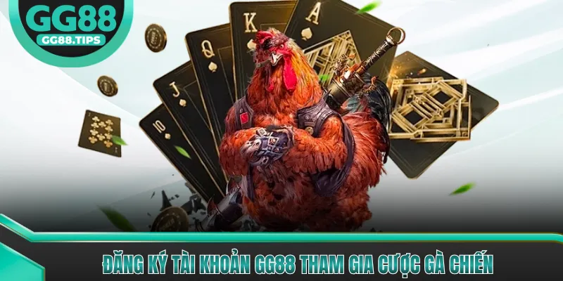 Cược Gà Chiến - Hướng Dẫn Cơ Bản Cho Người Mới 2026
