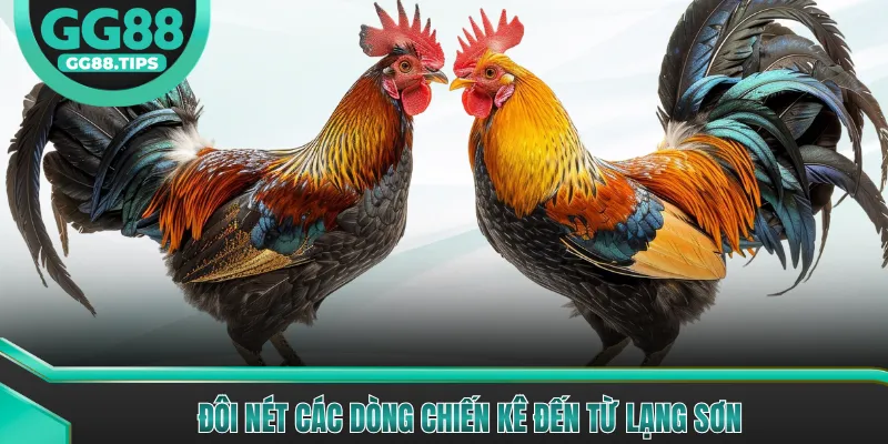 Đá Gà Đòn - Kỹ Thuật Chọn Giống Và Huấn Luyện Gà 2026