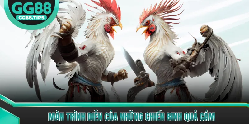 Đá Gà GG88 - Tổng Hợp Kiến Thức Cơ Bản Cho Người Mới 2026