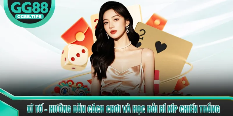 Xì Tố - Hướng Dẫn Chơi Bài Tăng Tỷ Lệ Thắng 2026